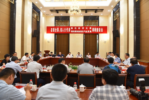 2022-9-6--在鎮(zhèn)全國、省人大代表調(diào)研-3--壓縮.JPG